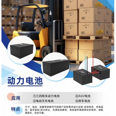 Energy storage lithium battery Example 10 